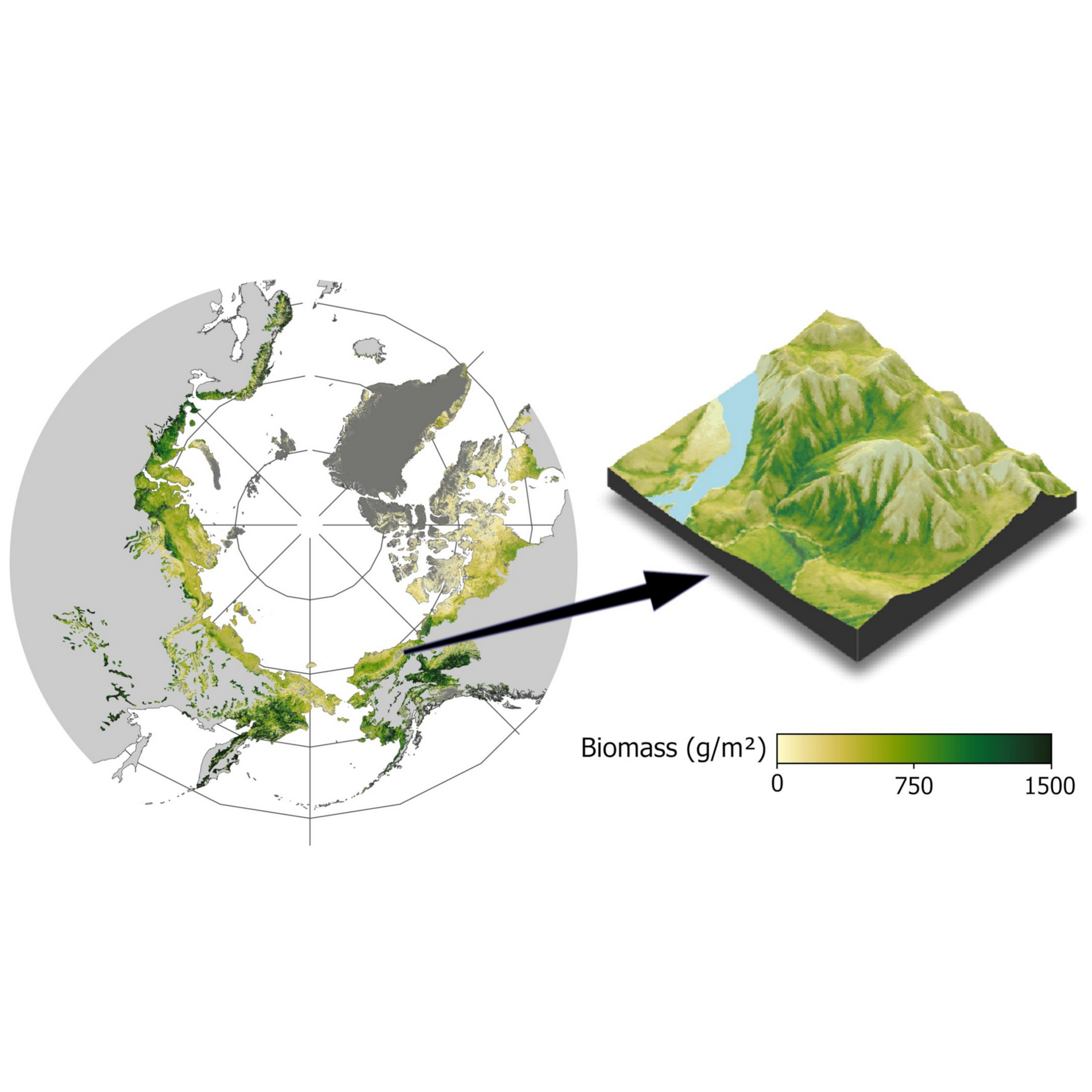 A close-up of a map with green and white gradients, and a point labeled &quot;Fairbanks&quot;.